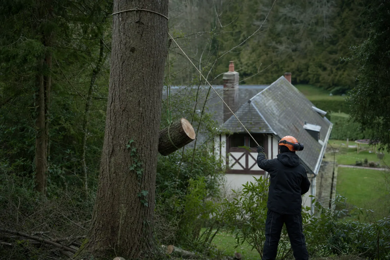 Tronçon de branche descendu en rétention le long d'un tronc